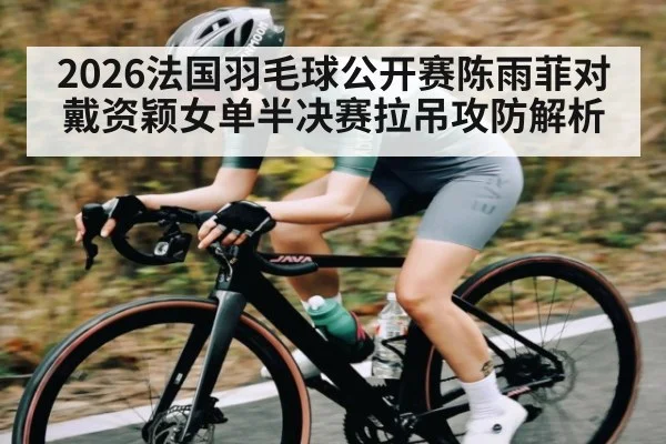 2026法国羽毛球公开赛陈雨菲对戴资颖女单半决赛拉吊攻防解析